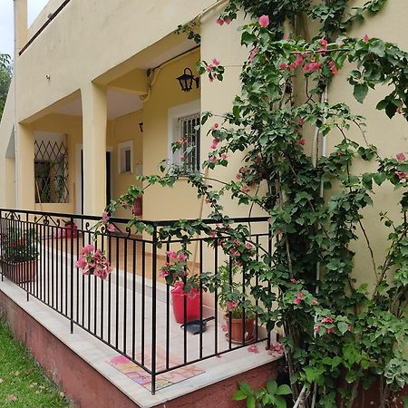 Oliveland Apartments Kávos Exterior foto